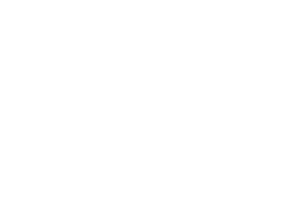 Eco Credentials_Disability Confident